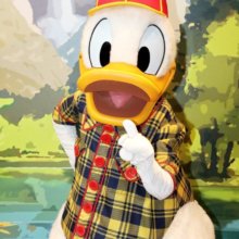 Donald Duck im Holzfälleroutfit