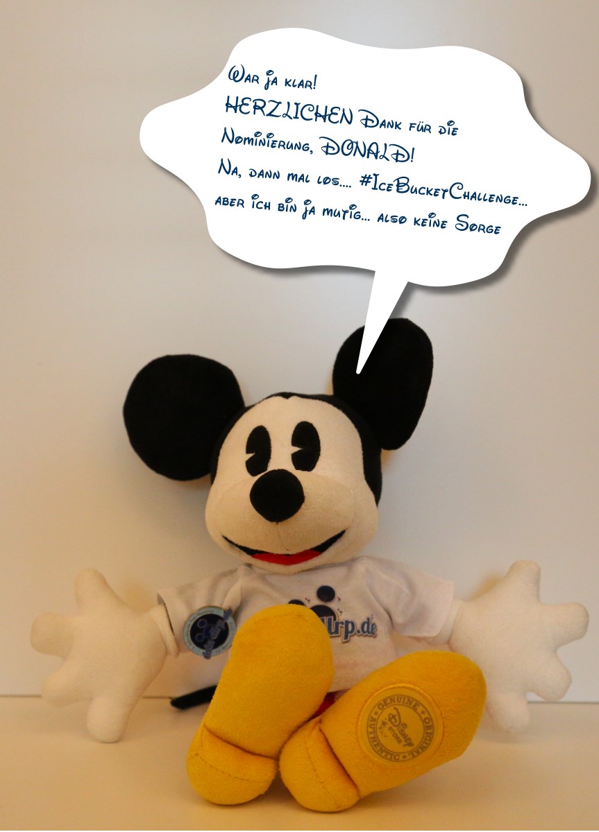 mickey-ice-bucket-1.jpg