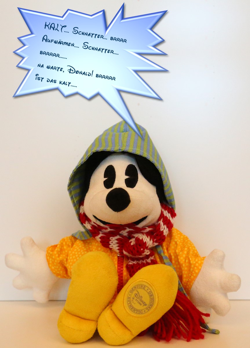 mickey-ice-bucket-8.jpg