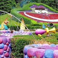 Alice's Curious Labyrinth