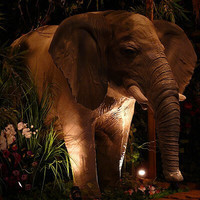 Rainforest Cafe im Disneyland Paris