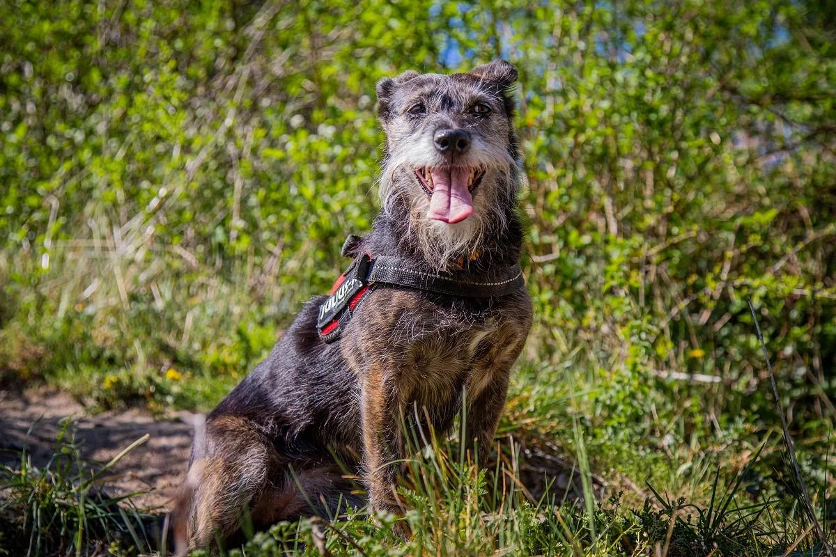 mika-burg-fuerstenberg-april-2020-1.webp