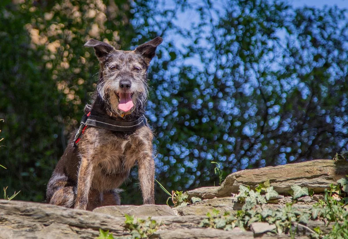 mika-burg-fuerstenberg-april-2020-12.webp