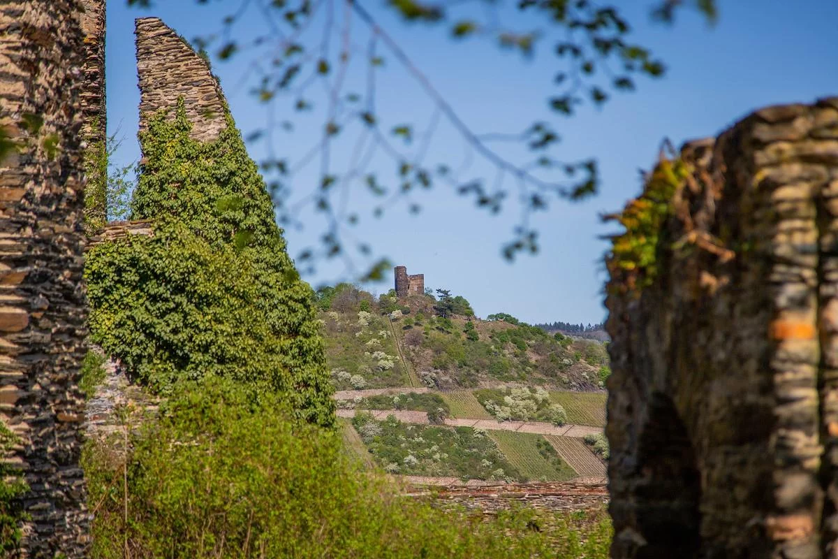 mika-burg-fuerstenberg-april-2020-19.webp