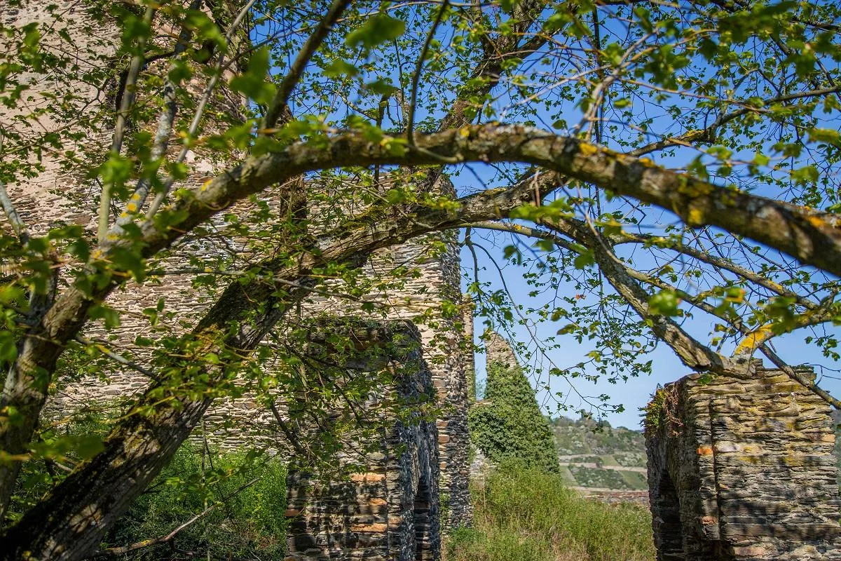 mika-burg-fuerstenberg-april-2020-20.webp