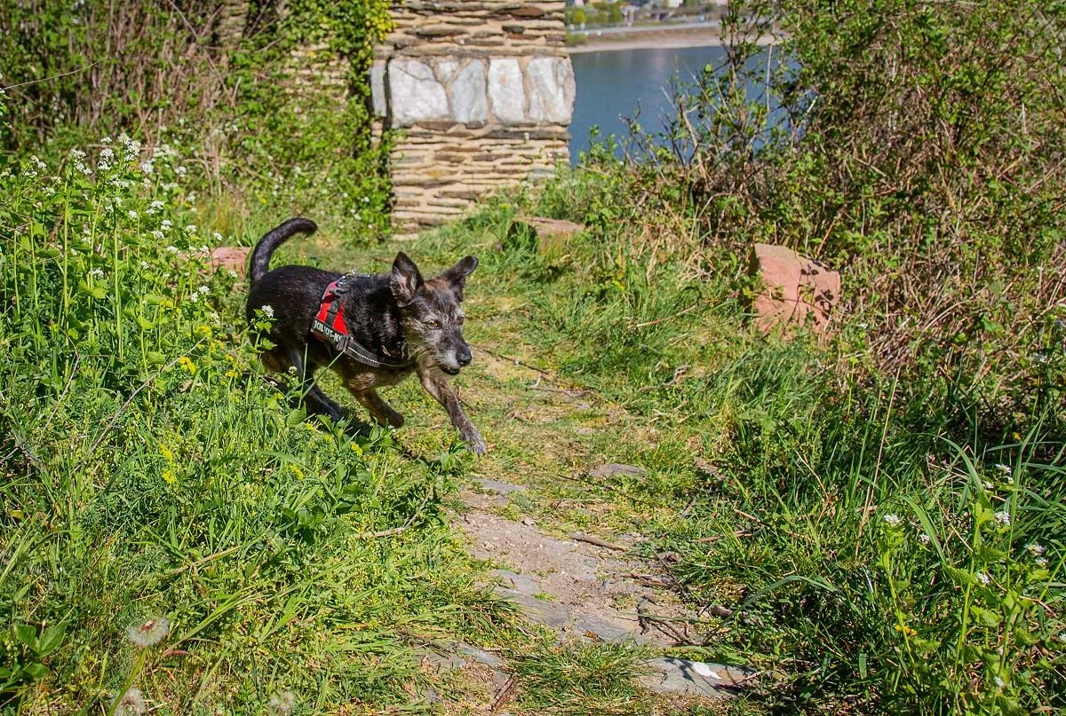 mika-burg-fuerstenberg-april-2020-6.webp