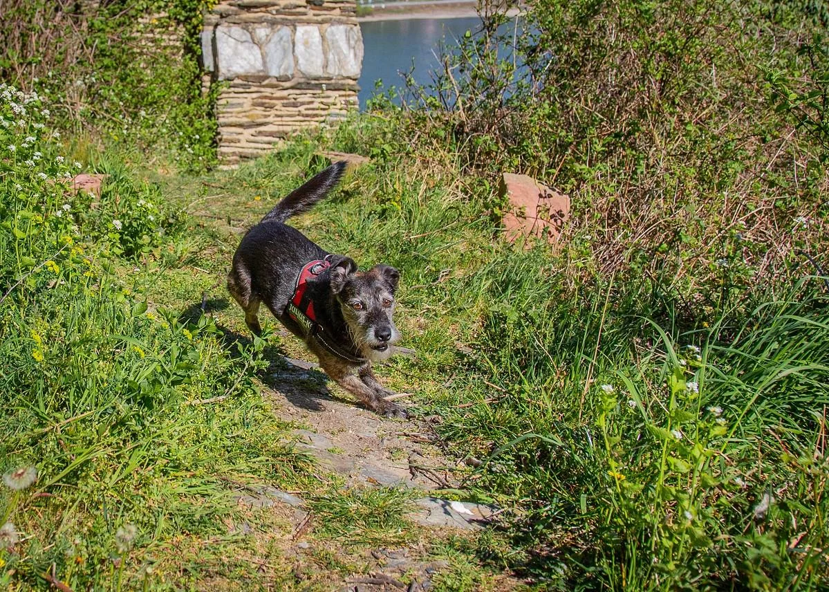 mika-burg-fuerstenberg-april-2020-7.webp