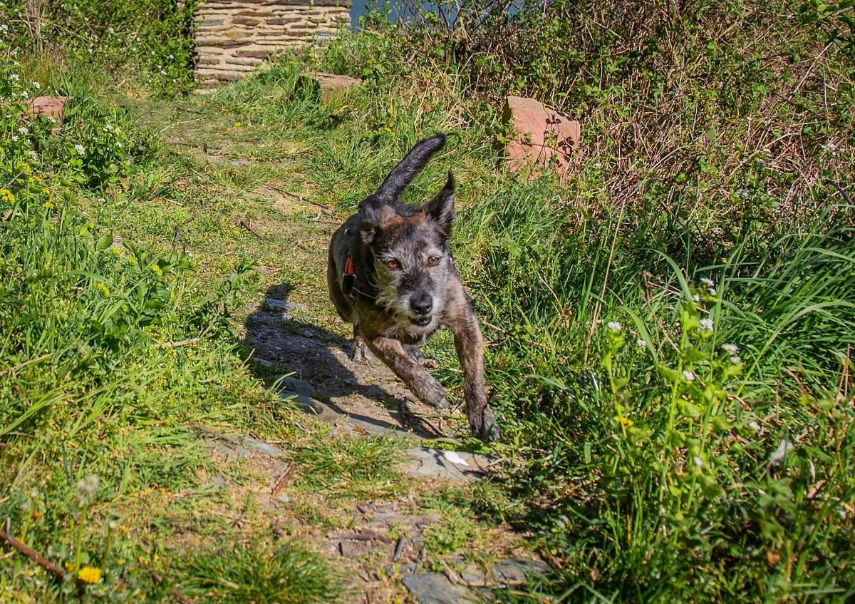 mika-burg-fuerstenberg-april-2020-8.webp