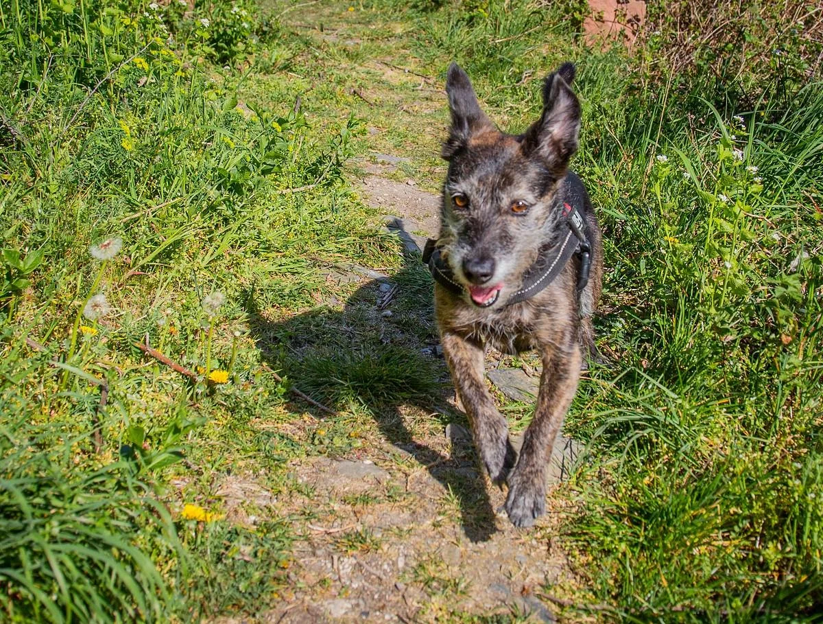 mika-burg-fuerstenberg-april-2020-9.webp