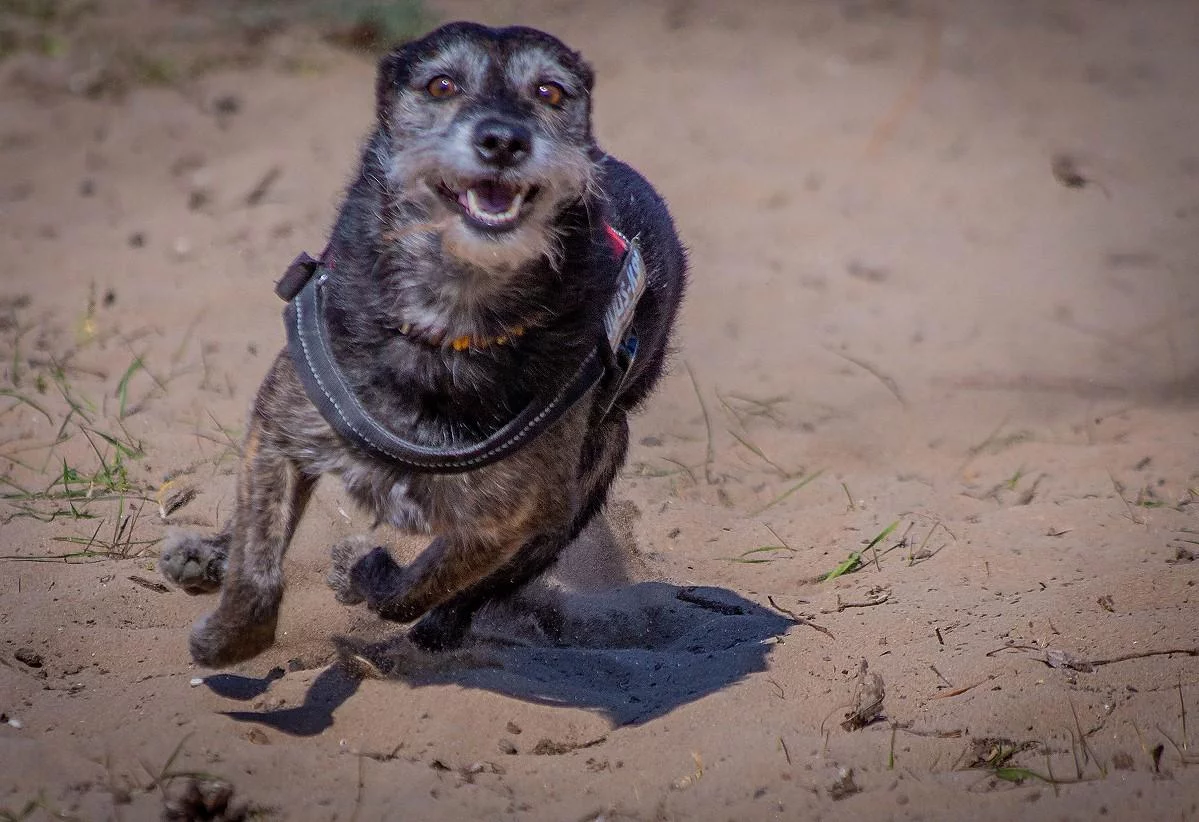 mika-mainzer-sand-april-2020-31.webp