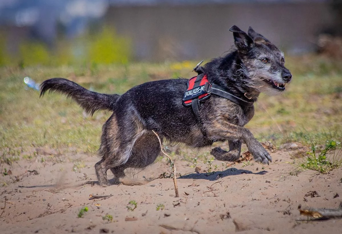 mika-mainzer-sand-april-2020-33.webp