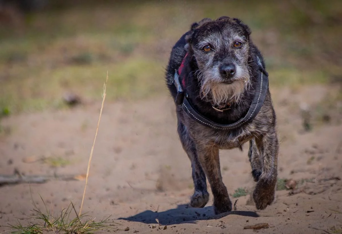 mika-mainzer-sand-april-2020-34.webp