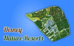 disney-nature-resort.webp